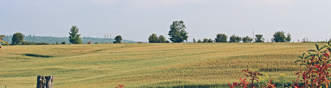 Direction générale