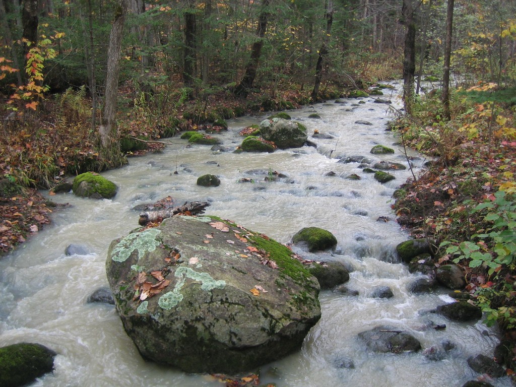 Gestion des cours d’eau