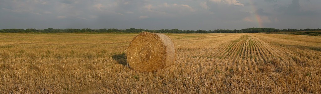 Développement de la zone agricole