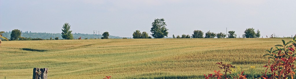 René Beaudoin