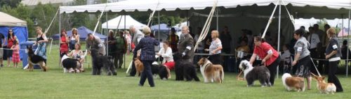 Exposition canine de la Mauricie