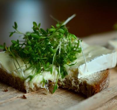 Conférence-dégustation de fromages