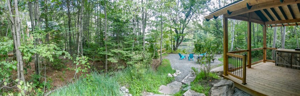 Gestion des arbres et de la forêt