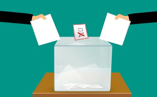 Élections 2021 et environnement : électeurs, exprimez-vous !