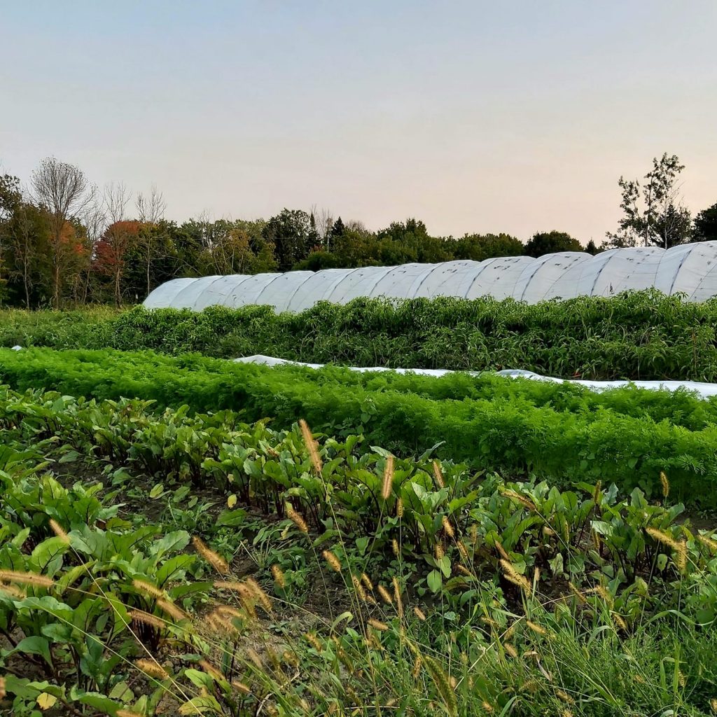 Un investissement de près d’un demi-million pour le nouvel incubateur agricole dans la MRC des Chenaux en Mauricie