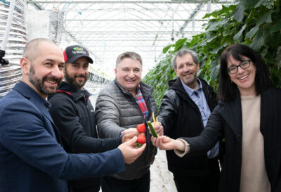 Un tout nouveau complexe de quatre serres chez le Maraîcher de Batiscan
