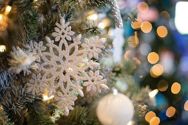 Les origines de Noël par Karine Forget