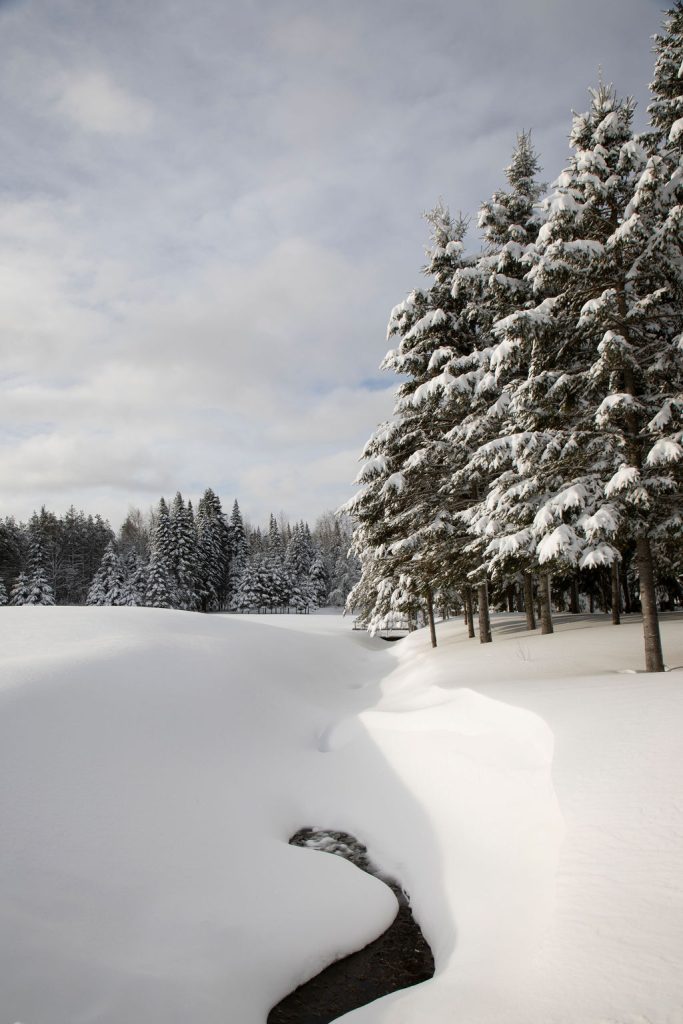 La MRC souligne le Mois de l&rsquo;histoire des Noirs – 2025