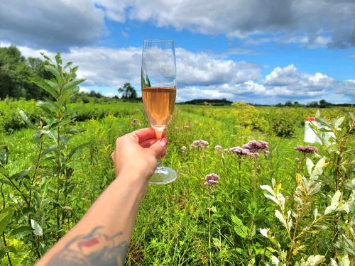 5 à 7 de réseautage – Lancement de la saison touristique 2026